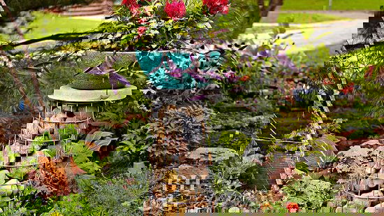 Tomato Cage Gabion Plant Stand