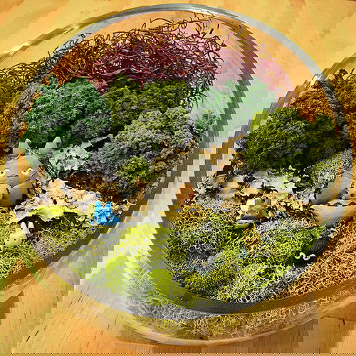 Smart Miniaturized Indoor Garden Projects 10