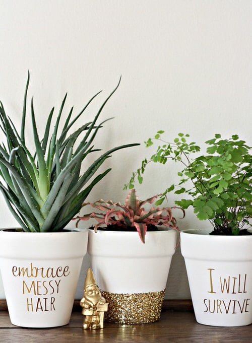 DIY Houseplant Pots Ideas and Makeover 14
