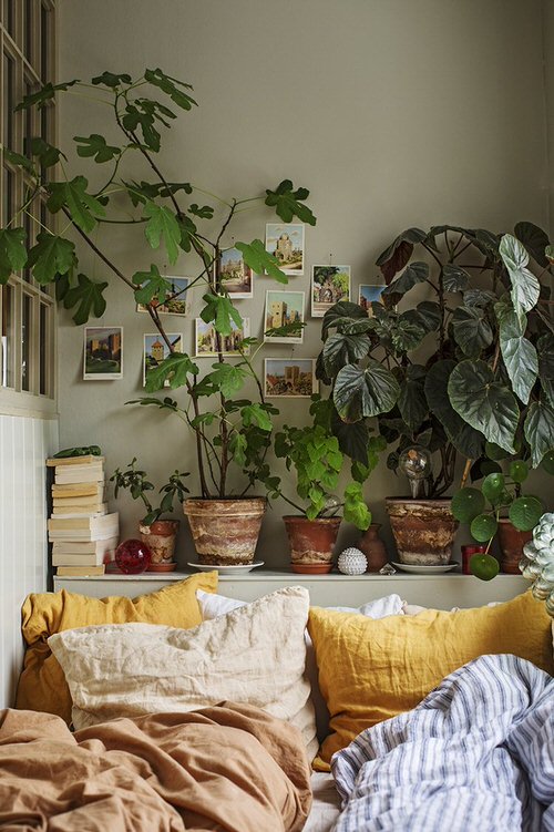 Plant Headboard Ideas for Ultimate Houseplant Lovers 6