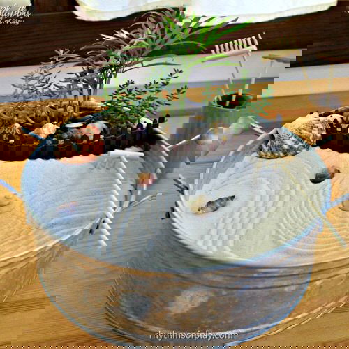 Kid-friendly Ideas for Gardens and Backyards 3