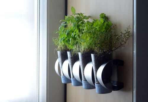 DIY Herb Wall Ideas 3