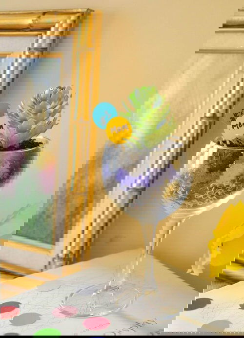 Wine Glass Terrariums 2