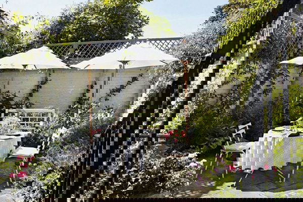 terrace garden tips 4