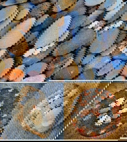 DIY Rock Uses for Homes 2