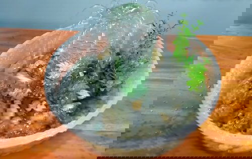 DIY Desktop Water Garden Ideas 7