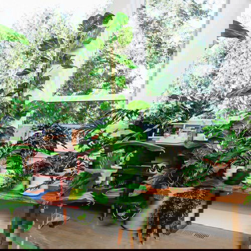 Indoor Climbers Pictures 10