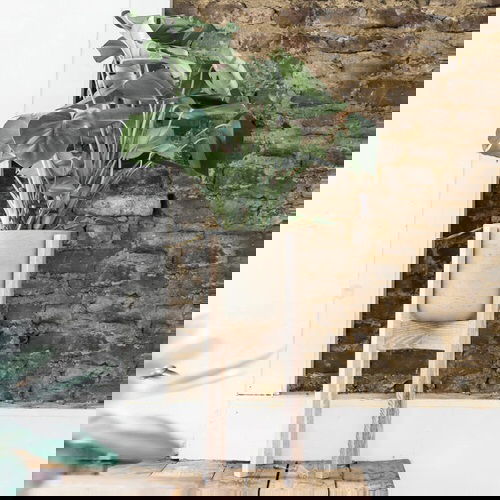 Plant Stand Design Ideas for Indoor Houseplants 18