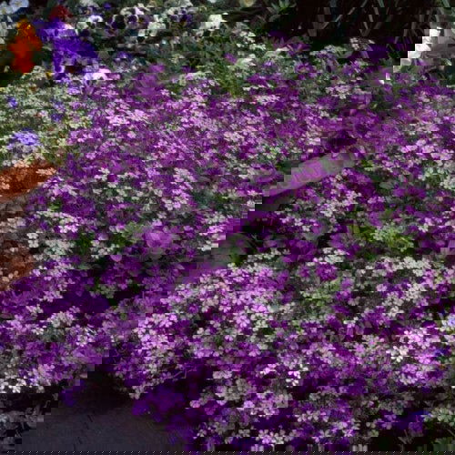 Balcony Homesteading Ideas 33