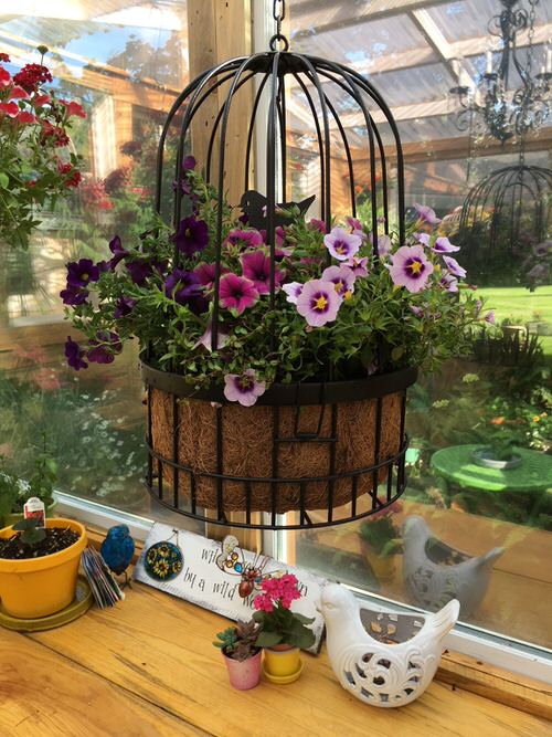 Best Places to Find Free Gardening Containers 5