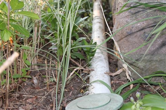 Rain Water Garden Sprinkler