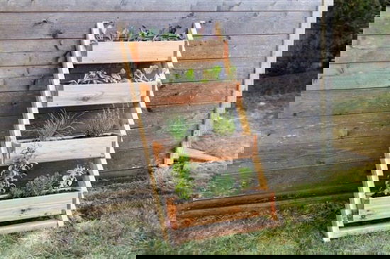 DIY Cedar Ladder Planter