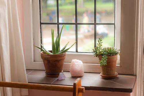 Windowsill Decor Ideas with Plants 2