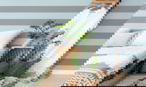 Pin Worthy Houseplant Pictures 8