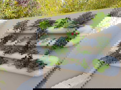 Balcony Homesteading Ideas 9