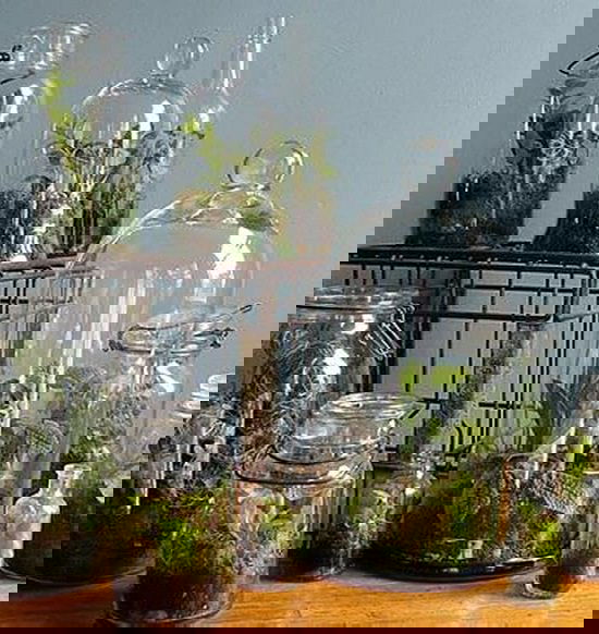  Vintage Terrarium Ideas DIY