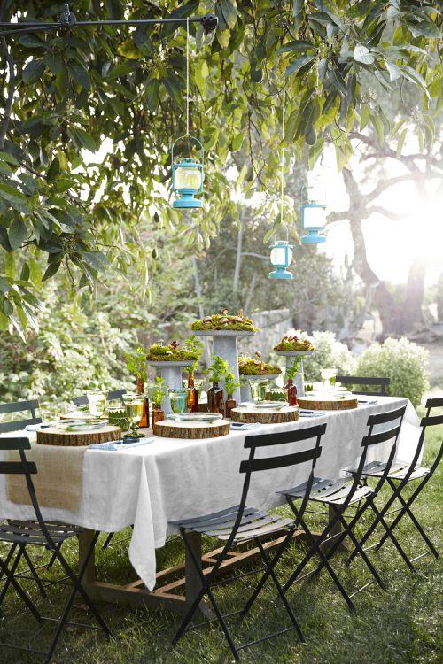 Must Do Things in Garden in Summers 10