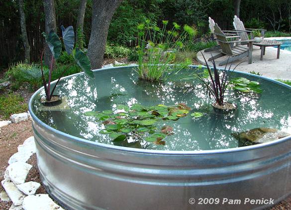 Water Pond Ideas