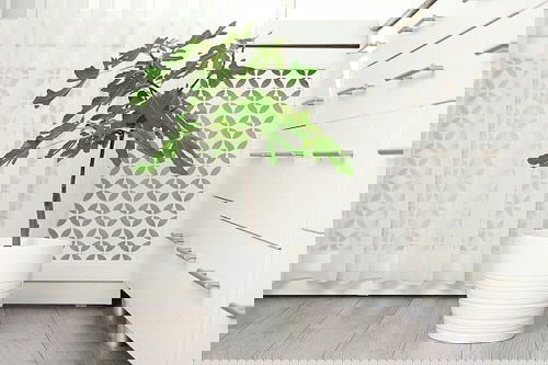 Indoor Fruit Tree Pictures for Inspiration 3