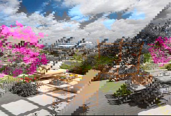 terrace garden tips 14