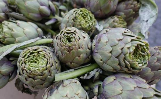 Types of Artichokes 2