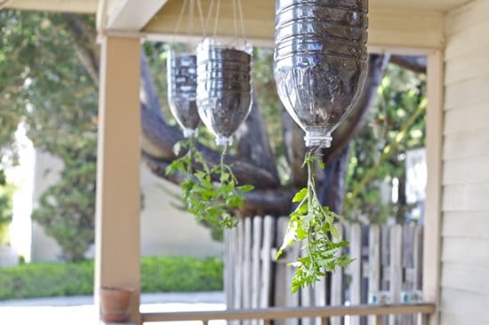 Garden Art Ideas
