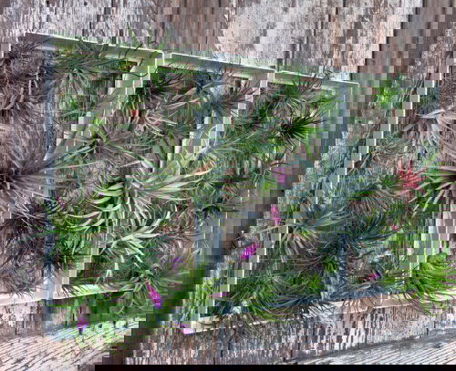 Patio Wall Decorating Ideas with Plants 9