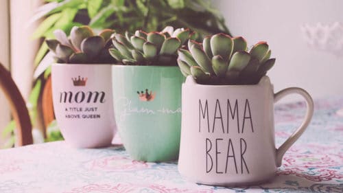 Coffee Mug Planter Ideas 3