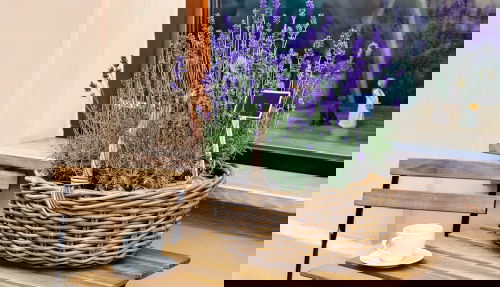 Ground Covers That Become Excellent Houseplants 2