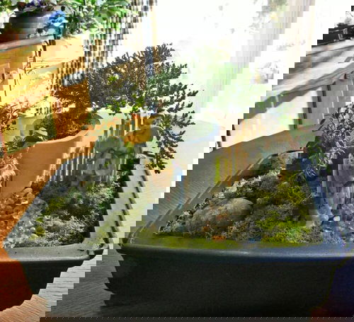 Ideas to Steal from Japanese Zen Garden 3