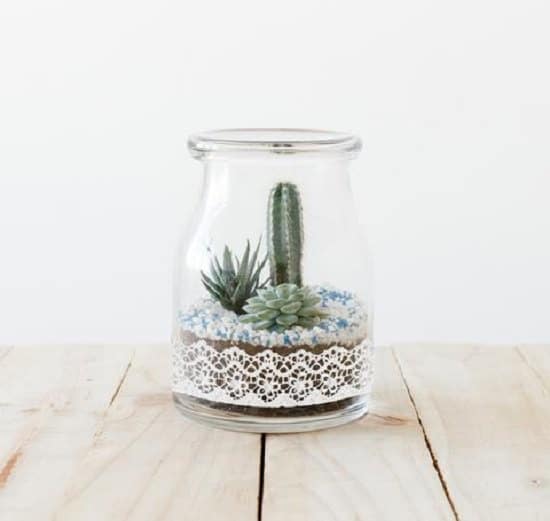  Vintage Terrarium Ideas