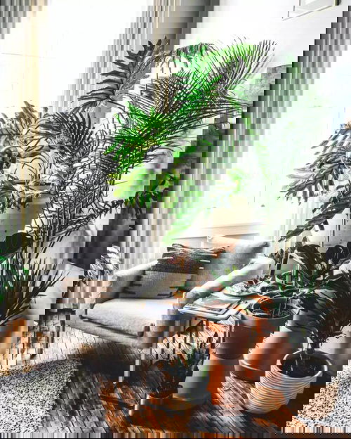 Really Small Living Room with Plant Ideas 3