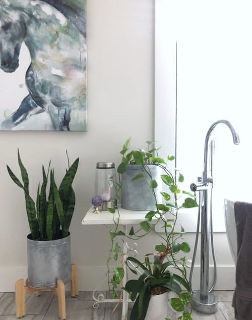 DIY Dollar Store Ideas 4