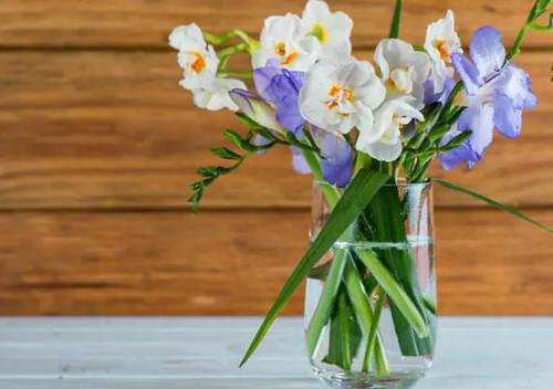 How to Use Common Household Things in Your Garden 5