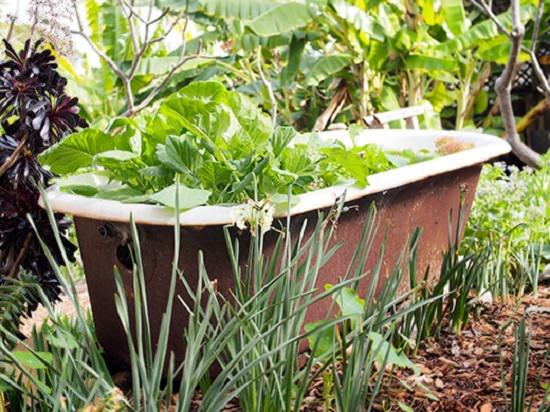 DIY Bathroom Items Ideas in the Garden 3