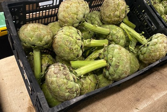 Types of Artichokes 5