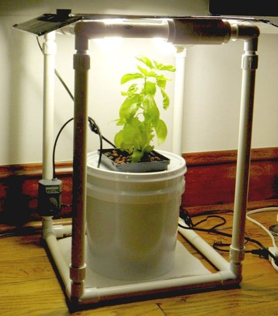 Hydroponic Herb Garden DIY