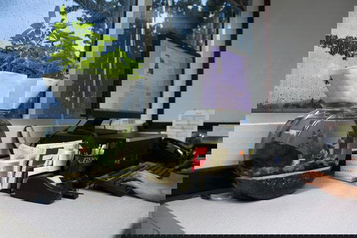 DIY Desktop Water Garden Ideas 6