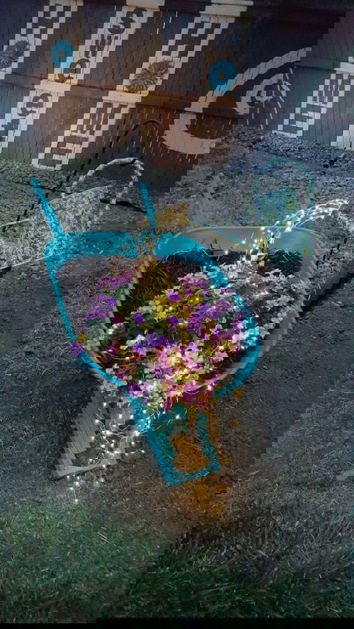 Insanely Instant Ideas to Decorate Your Garden 35