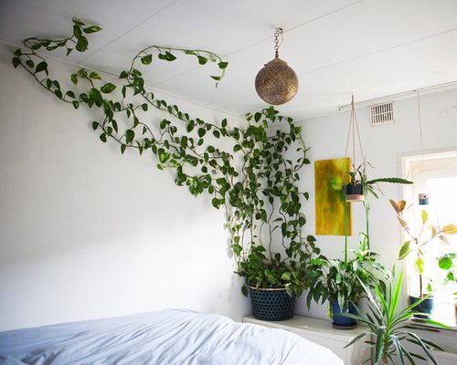 Indoor Climbers Pictures 3