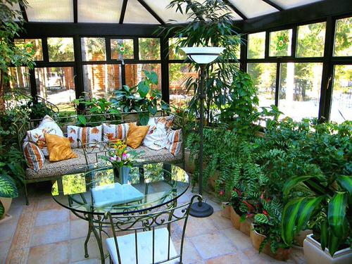 Sunroom Ideas With Plants 12