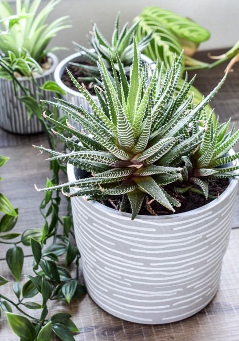 DIY Ikea Indoor Garden Ideas 9