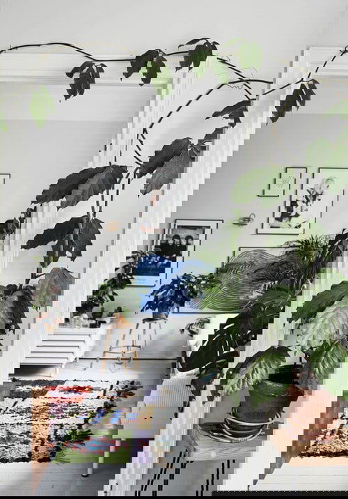 Indoor Climbers Pictures 13