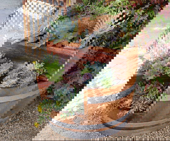 If you own a few empty wine barrels, reuse them in your garden the most creative way by following these DIY Wine Barrel Ideas!