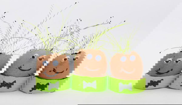 DIY Eggshell Ideas for growing little plants