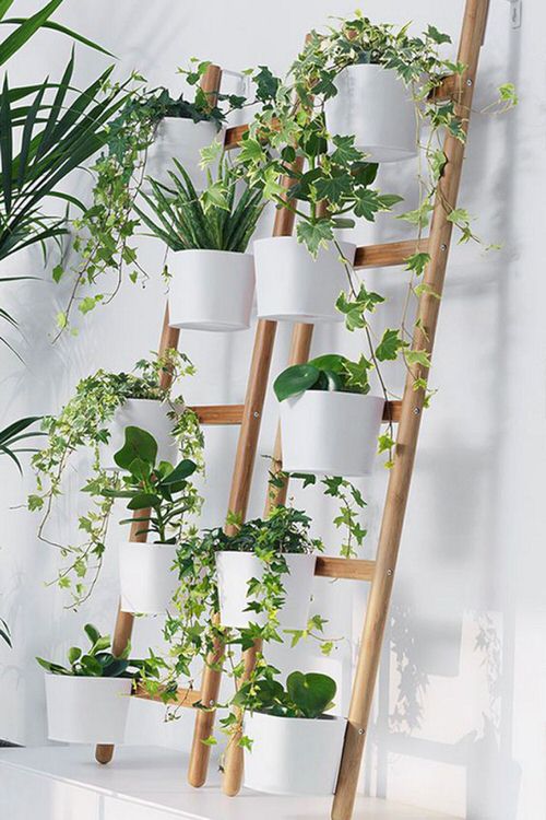 Vertical Garden Home Decoration 6