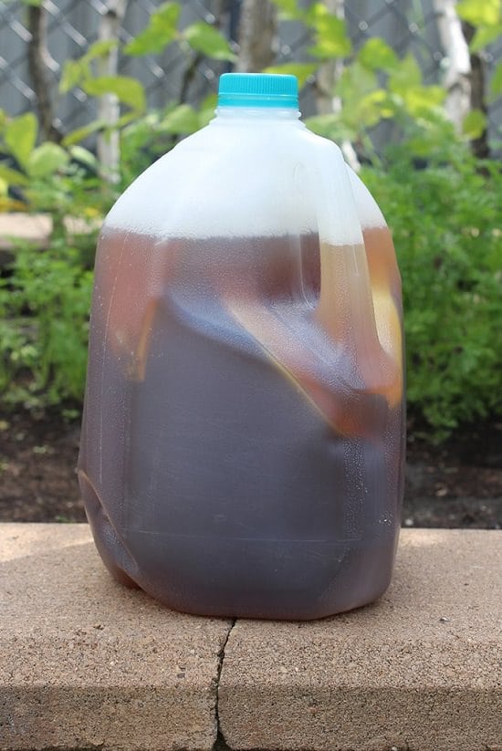 some of the best Homemade Liquid Fertilizer