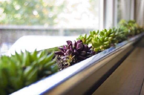 Window Box Idea Diy