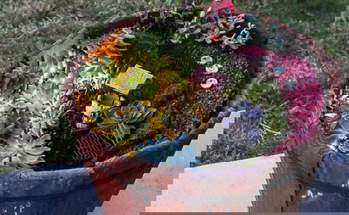 DIY Miniature Fairy Garden Ideas 23