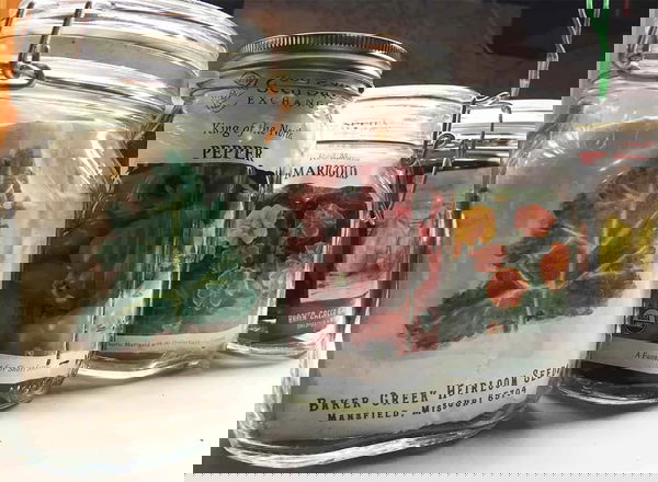 DIY Seed Storage Ideas 12